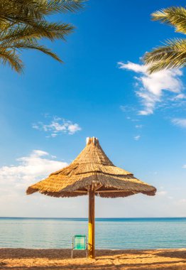 Yaz deniz manzarası, tropikal plajın doğası, güneşlik, şemsiye ve dinlenme sandalyesi. Altın kumsal, palmiye ağaçları, deniz suyu mavi gökyüzüne karşı beyaz bulutlar