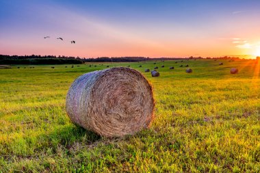 Saman yığınları ve tahıl hasadı ile kırsal alan, gün batımı renkli güneş ışınları ile
