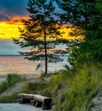 Baltık sahillerinde güzel bir gün batımı, Jurmala, Avrupa