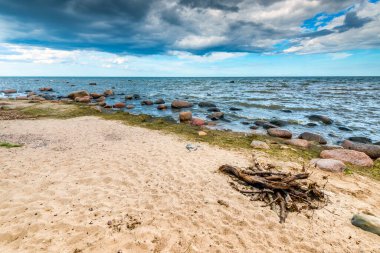 Baltık Denizi 'ndeki taş kıyı manzarası