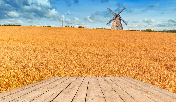 Olgunlaşan Altın Buğday Ahşap Tahtalarla Dolu Tarım Kırsal Arazisi Metin — Stok fotoğraf