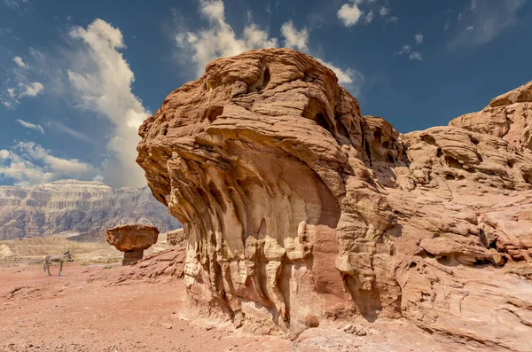 Hongo Piedra Una Formación Geológica Única Del Período Jurásico Parque — Foto de Stock