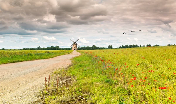 Countryside gravel road among wild flowers leading to old windmill on horizon, concept of ecological tourism