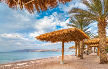 Sandy beach with sunshades and palms on the Red Sea in Eilat, Israel
