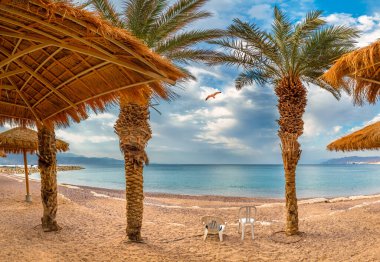Panorama with sandy beach, sunshades and palms at the Red Sea, Middle East