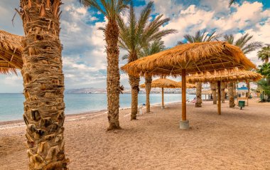 Sandy beach with palms and sunshades in Eilat - famous tourist resort in Israel and Middle East