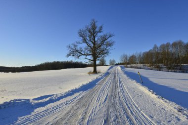 Güzel kış manzarası manzarası