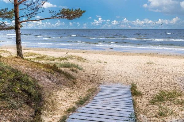 Faút Balti Tenger Homokos Strandjához Jurmala Lettország — Stock Fotó