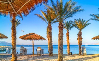 Kızıl Deniz 'in tropikal plajının manzarası