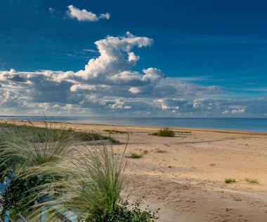 Sand shore, dunes, beach and recreation area of the Baltic Sea, concept of ecologically clean, safety and healthy sustainable tourism in Europe