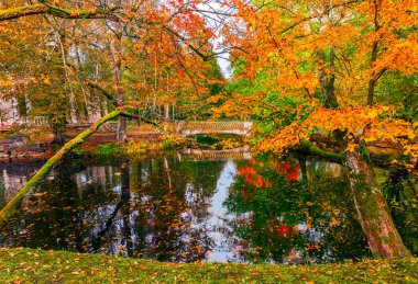Sonbaharın sonlarında eski halk parkında