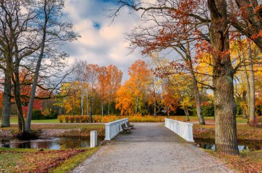 Sonbaharın sonlarında eski halk parkında, yaya köprüsü ve patikalar altın renkli ağaçlar arasında, bulutlu bir günde 