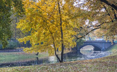 Riga, Letonya central Park'ta sonbahar