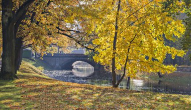 Riga, Letonya central Park'ta sonbahar