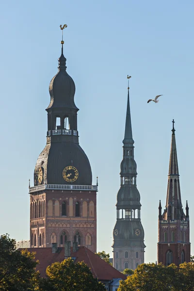 Iglesias medievales en la ciudad vieja de Riga, Letonia —  Fotos de Stock