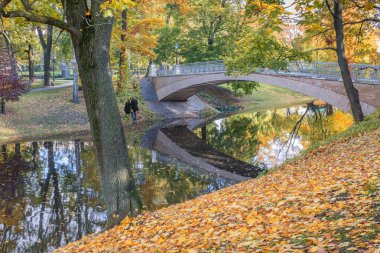Riga, Letonya central Park'ta sonbahar