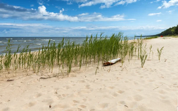 Krajobraz wybrzeża, nad Morzem Bałtyckim — Zdjęcie stockowe