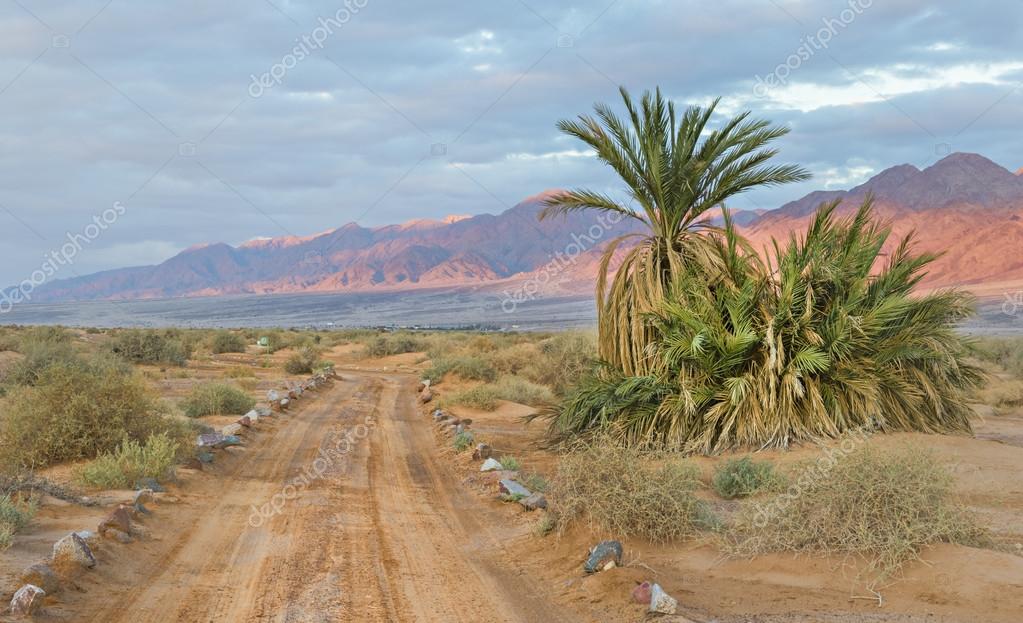 Savannah valley in desert of the Negev, Israel of Arava desert, Israel — Stock Photo © gorsh13 ...
