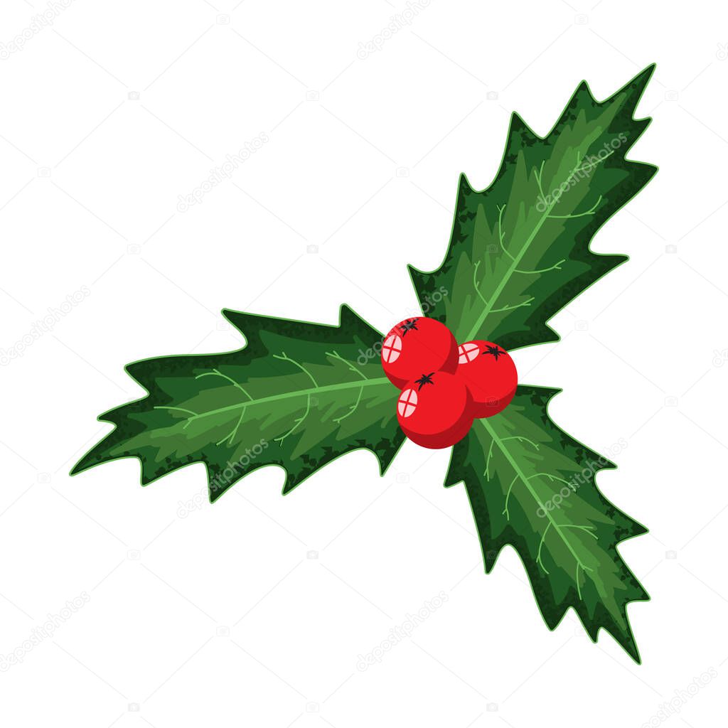 Christmas holly berry leaves. Vector cartoon holiday decoration element isolated on a white background.