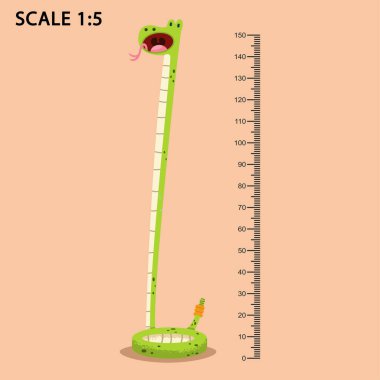 Çizgi film yılanıyla ve cetvelle ölçülen cetvelle çocuk metre duvarı. Arka planda izole edilmiş bir hayvanın vektör çizimi.