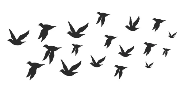 成群的鸽子或鸽子飞着黑色的轮廓 在白色背景下孤立的鸟类迁徙的矢量平面图解 — 图库矢量图片