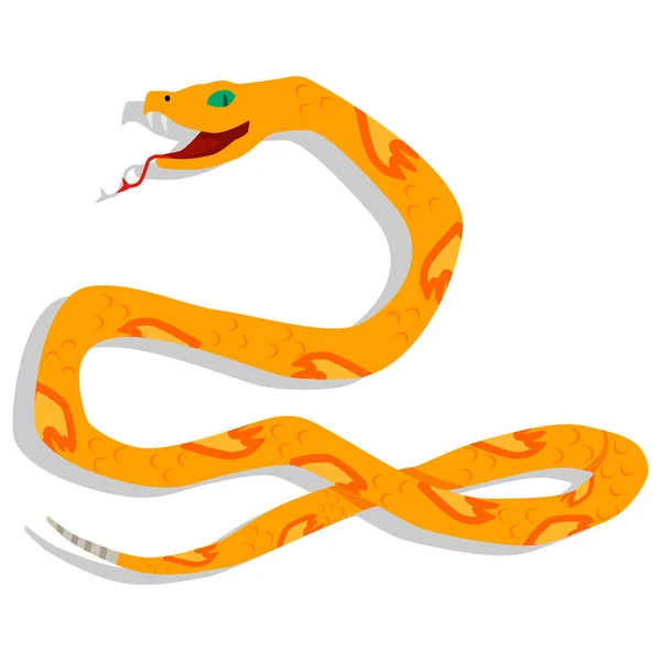 黄色蛇卡通人物 在白色背景上孤立的向量图解 扁平的危险和有毒的野生动物 — 图库矢量图片