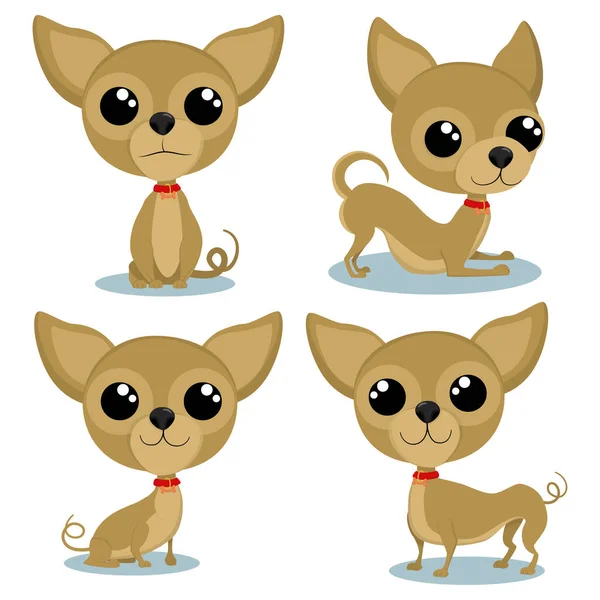 Chihuahua Cartoon Character Various Poses Cute Little Dogs Vector Set — Stock Vector