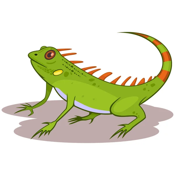 Illustration Vectorielle Dessin Animé Reptile Iguane Isolé Sur Fond Blanc — Image vectorielle