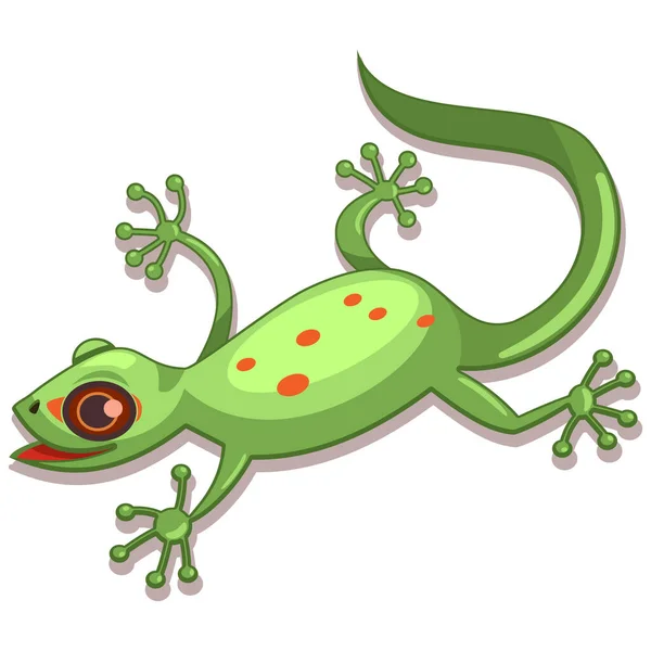 Gecko Reptiel Cartoon Vector Illustratie Geïsoleerd Witte Achtergrond — Stockvector