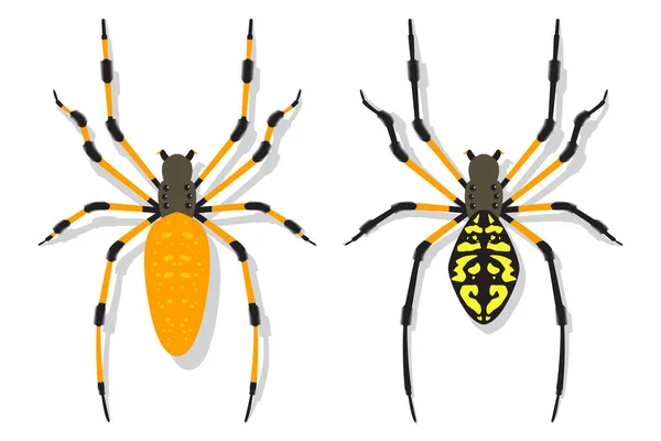 Banana Spider Vector Cartoon Flat Set Isolato Sfondo Bianco — Vettoriale Stock