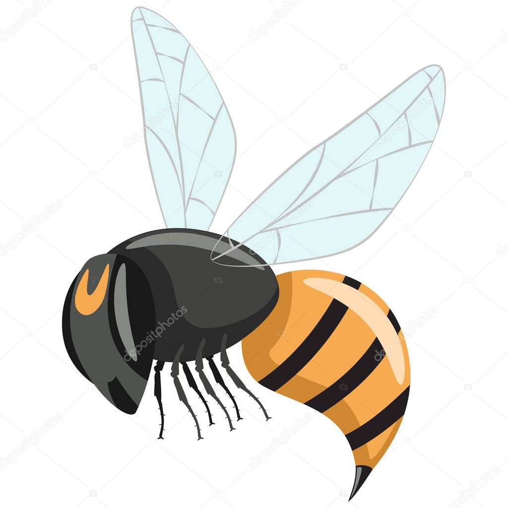 Wasp vector. Hornet cartoon flat icon isolated on white background.