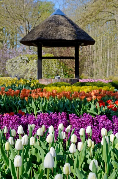 Skvělé Jarní krajina s tulipány v parku Keukenhof, Hol — Stock fotografie