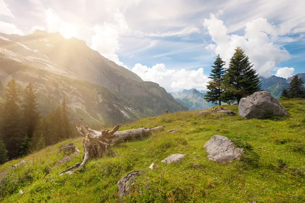 ヨーロッパ o スイス アルプス山脈の美しい風景 — ストック写真