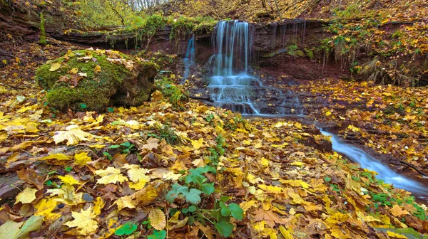Magiczny krajobraz z wodospadem w lesie jesienią (opraco — Zdjęcie stockowe