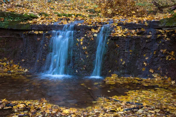 Piękny krajobraz z wodospadem w lesie jesienią (opraco — Zdjęcie stockowe