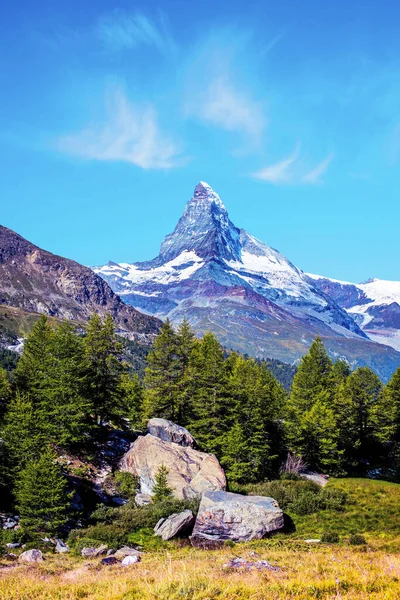 Hermoso Paisaje Mágico Con Abetos Fondo Matterhorn Los Alpes Suizos —  Fotos de Stock