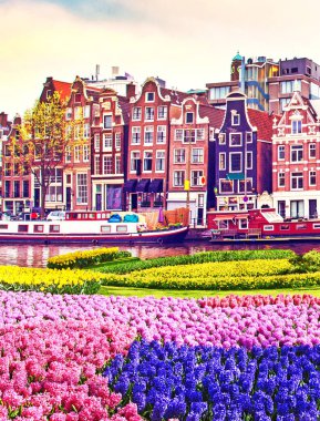 Amsterdam, Hollanda 'da çiçekler ve eski Hollandalı binalar ile güzel sihirli bahar manzara. inanılmaz yerler. popüler turist atraction