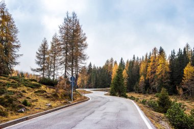 Dağların ortasında bir yolu olan güzel sonbahar manzarası.