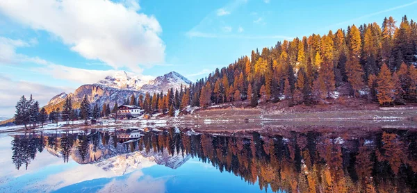 アントルノ湖 ドロマイト イタリアアルプスの雪の山の背景に黄色のカラマツと美しい秋の風景 抗ストレス リラクゼーション コンセプト — ストック写真