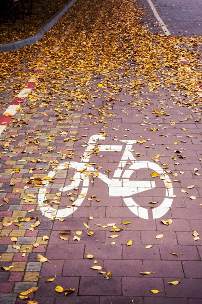 Cykelväg Skylt Mitt Parken Hösten Löv — Stockfoto