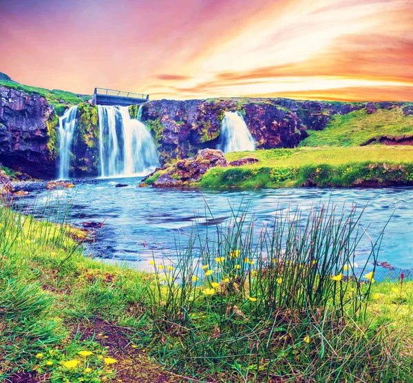 Islandu Krásná Přírodní Magická Scenérie Vodopádem Kirkjufell Žlutým Květným Úsvitem — Stock fotografie