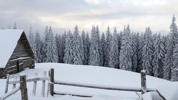 Mooie winterlandschap met mist in de Karpaten, — Stockfoto