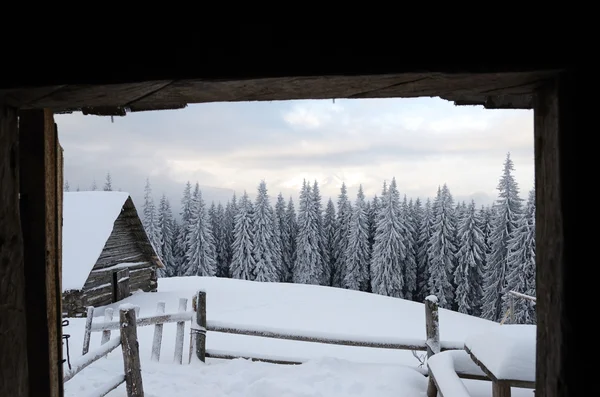 Mooie winterlandschap met mist in de Karpaten, — Stockfoto