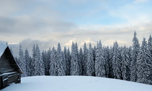 Mooie winterlandschap met mist in de Karpaten, — Stockfoto