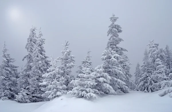 Güzel kış manzarası ile sazan ışığında siste — Stok fotoğraf