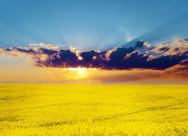 Sonnenaufgang über Rapsblumen mit einer schwarzen Wolke (Russland — Stockfoto