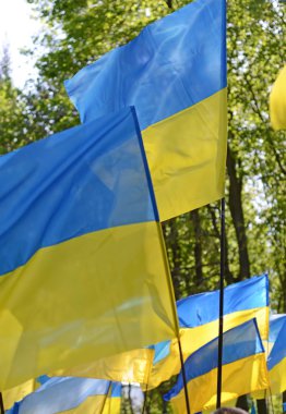 Bayrakları rüzgarda açık havada geliştirilen Ukrayna