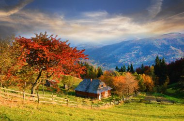 Bir ağaç kırmızı yaprakları ile pitoresk sonbahar kırsal manzara