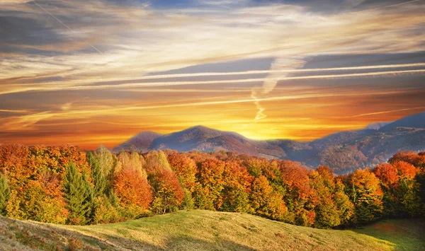 Paisaje otoñal escénico en el bosque de coliflor de las montañas (rel —  Fotos de Stock