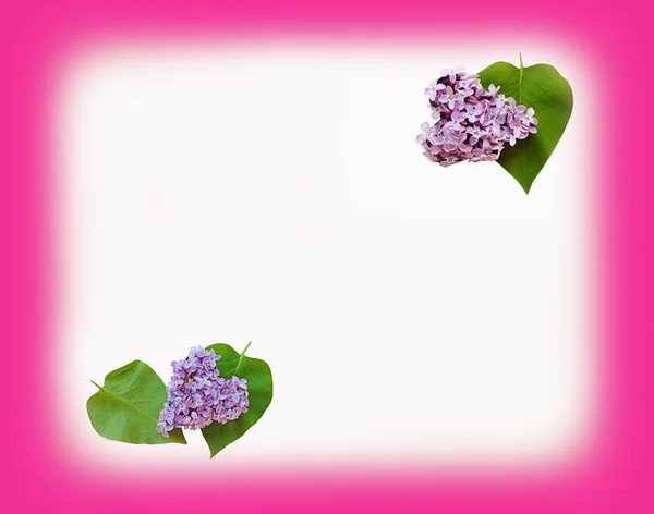 Leaves and petals lilac heart shaped (Valentine's Day, February — Stock Photo, Image